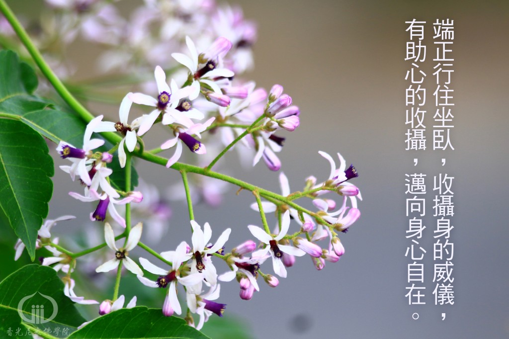 9705_FB1090520_hua