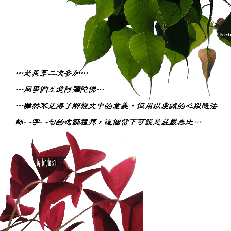 抖動的文字 師父的勉勵