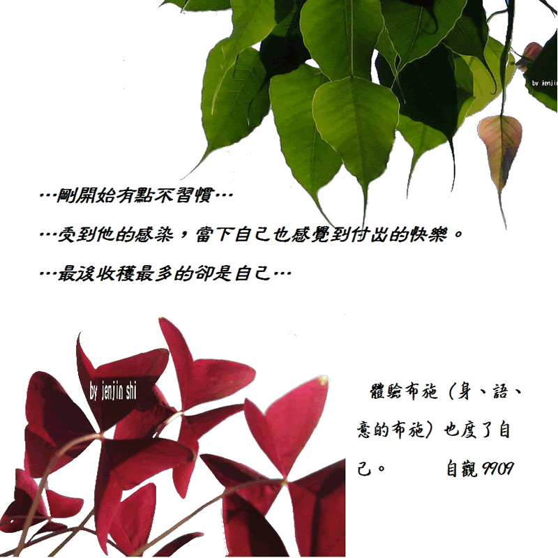 抖動的文字 師父的勉勵