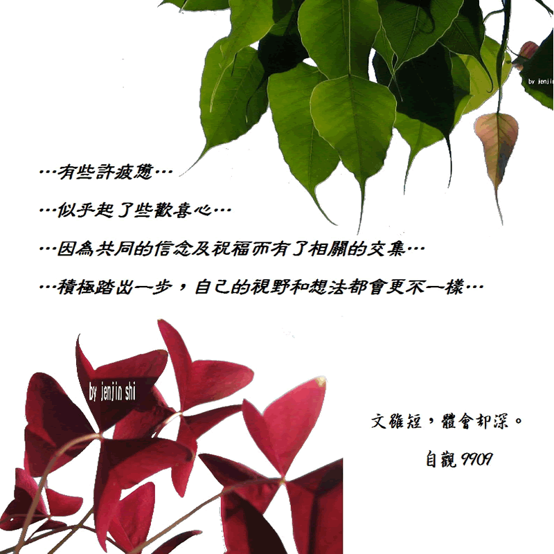 抖動的文字 師父的勉勵