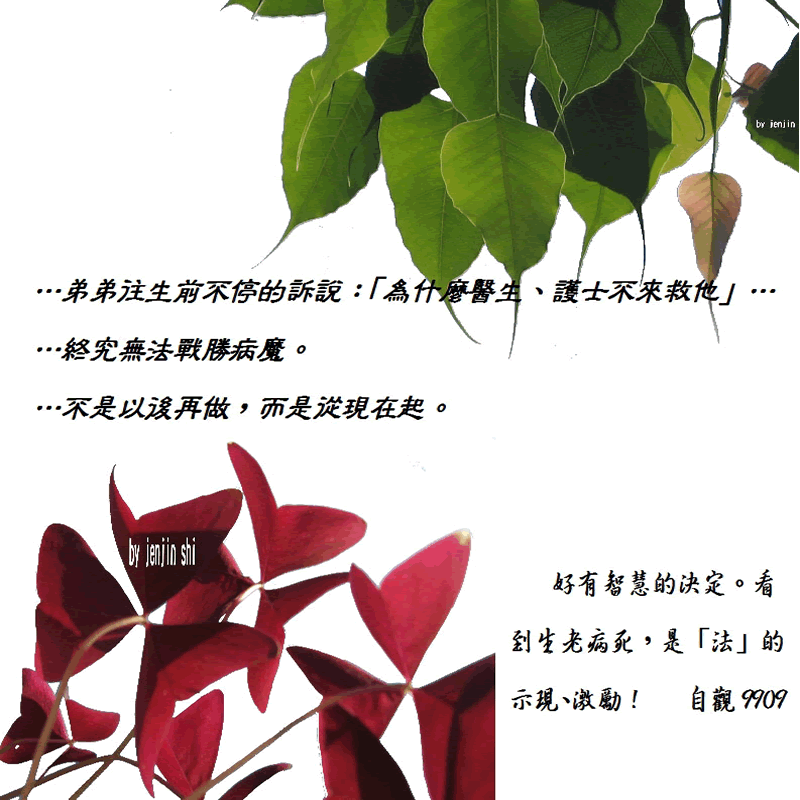 抖動的文字 師父的勉勵