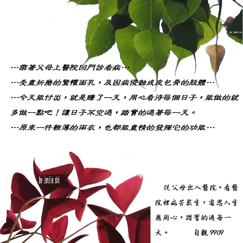 抖動的文字 師父的勉勵