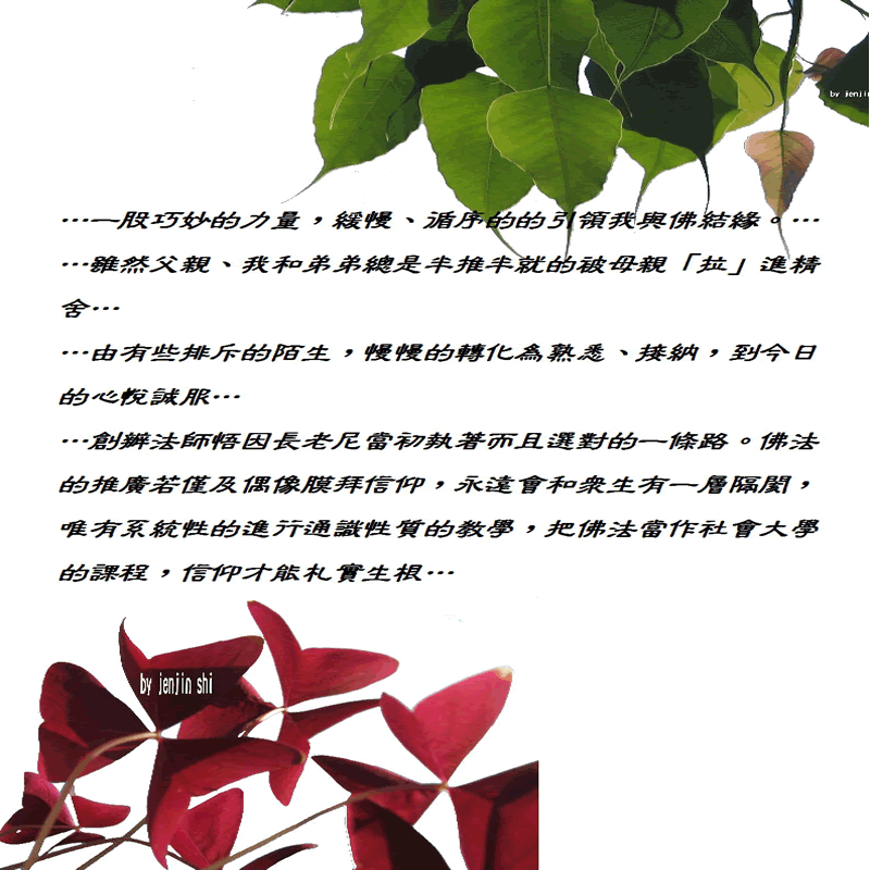 抖動的文字 師父的勉勵