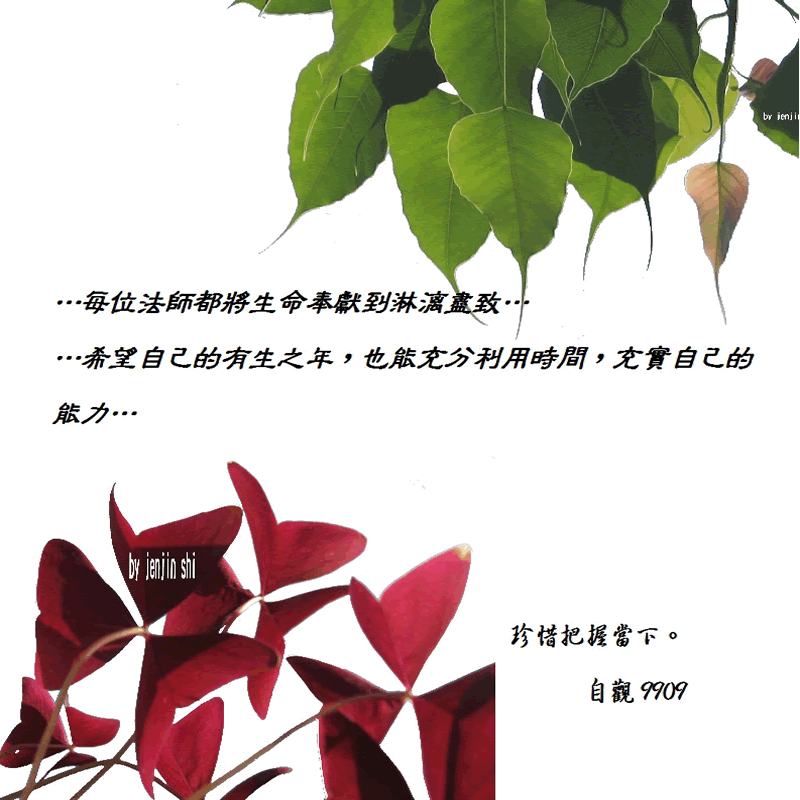 抖動的文字 師父的勉勵