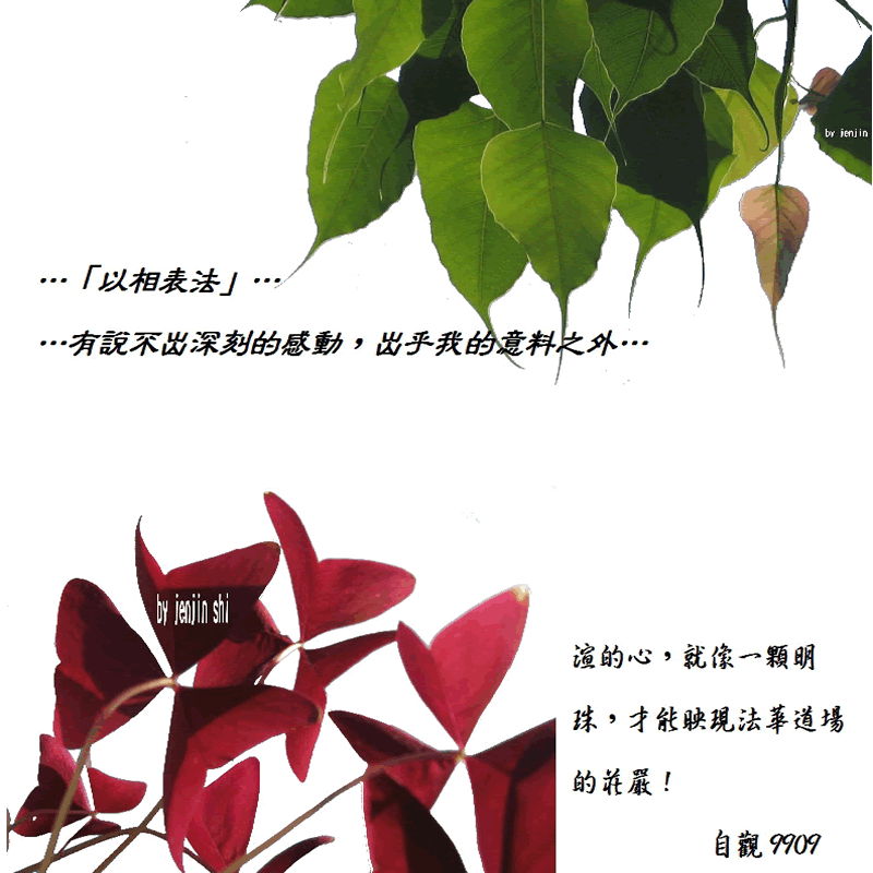 抖動的文字 師父的勉勵