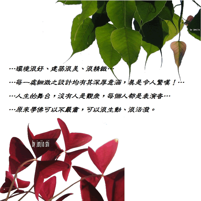 抖動的文字 師父的勉勵