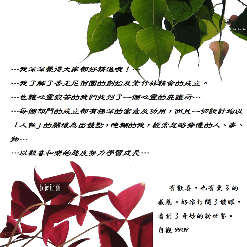 抖動的文字 師父的勉勵