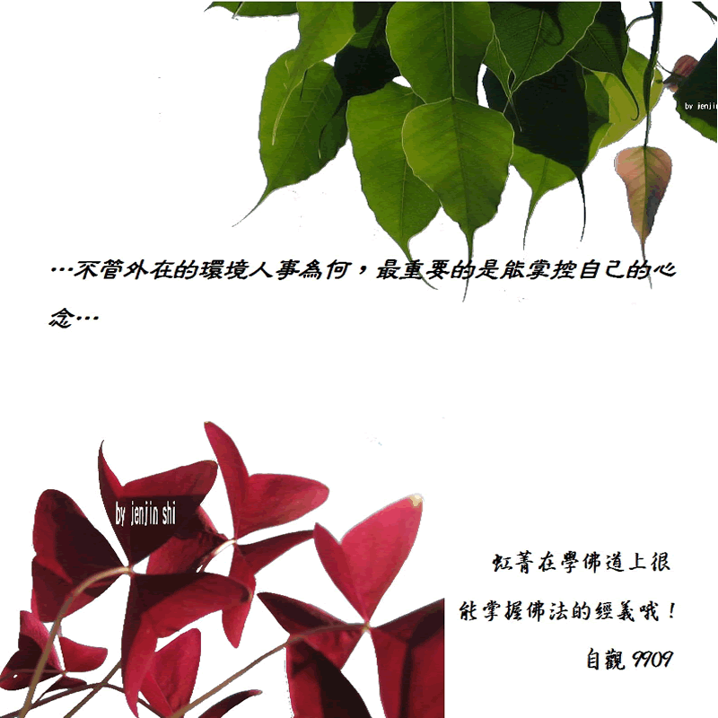 抖動的文字 師父的勉勵