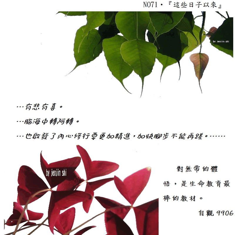 抖動的文字 師父的勉勵