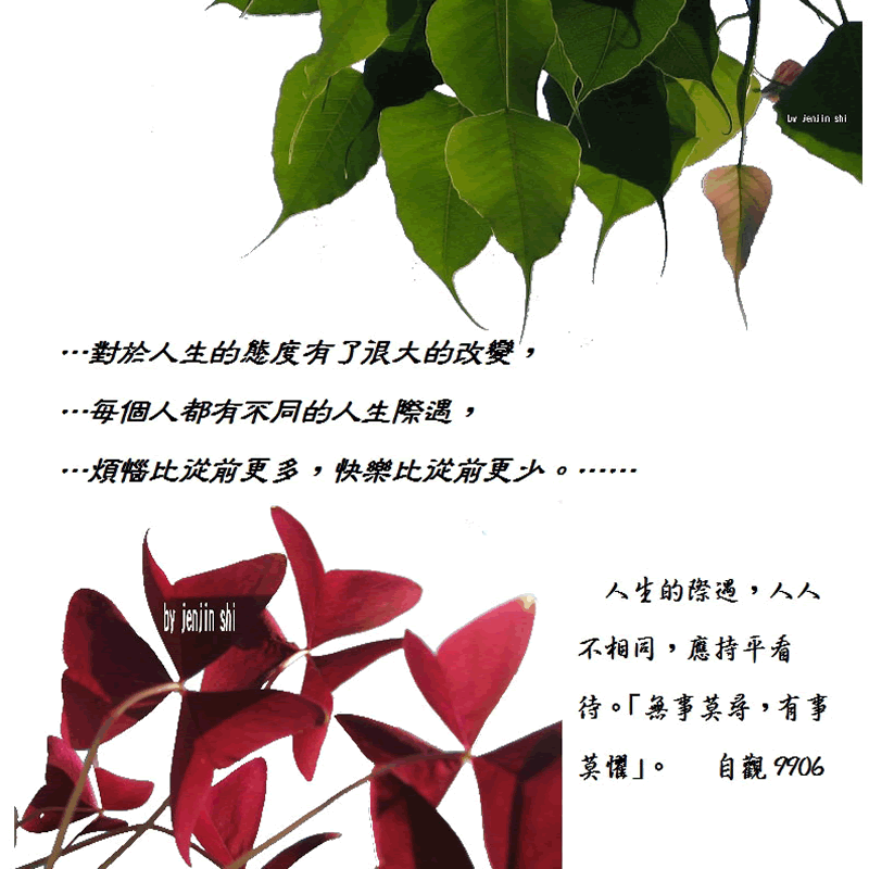 抖動的文字 師父的勉勵