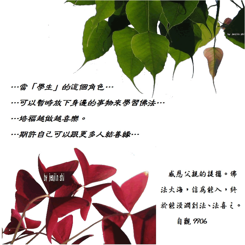 抖動的文字 師父的勉勵