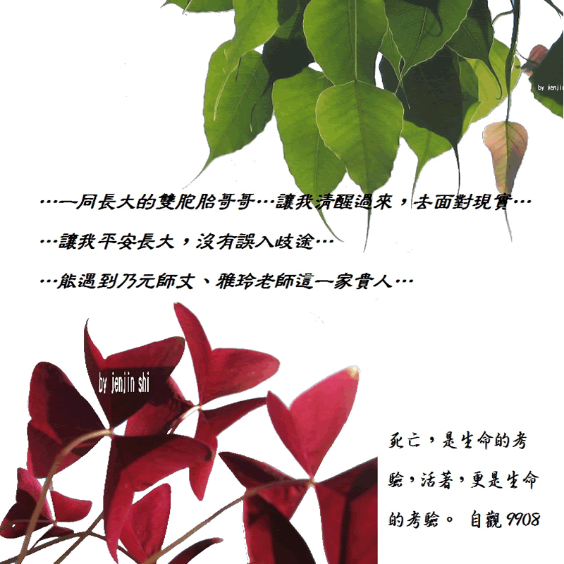 抖動的文字 師父的勉勵