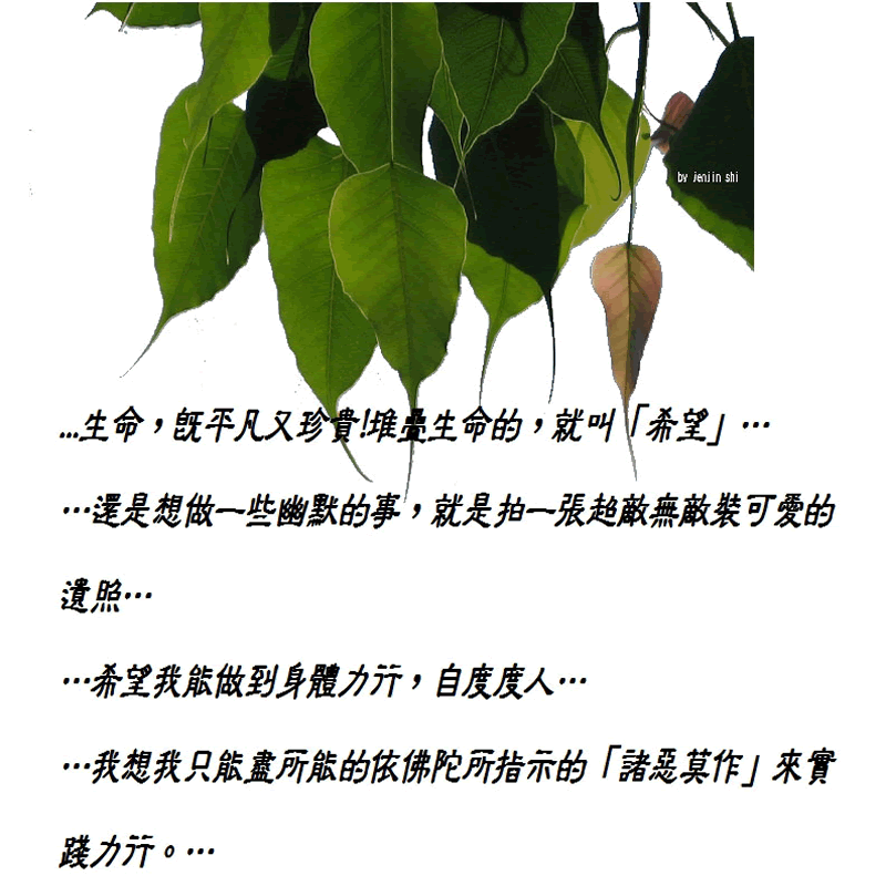 抖動的文字 師父的勉勵