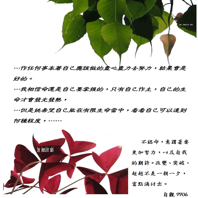 抖動的文字 師父的勉勵