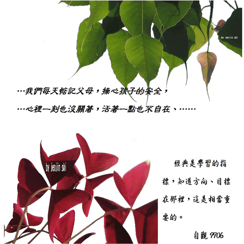 抖動的文字 師父的勉勵