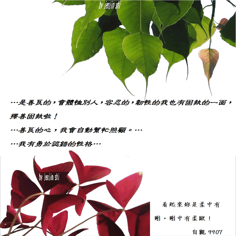 抖動的文字 師父的勉勵