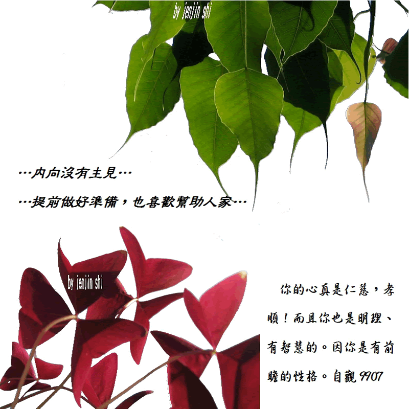 抖動的文字 師父的勉勵