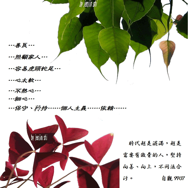 抖動的文字 師父的勉勵