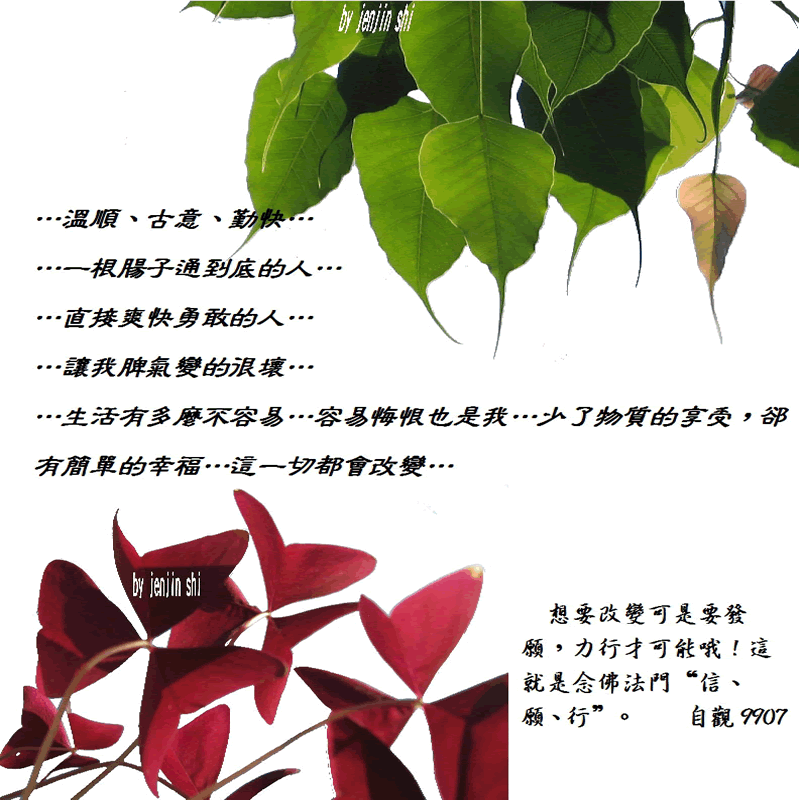 抖動的文字 師父的勉勵