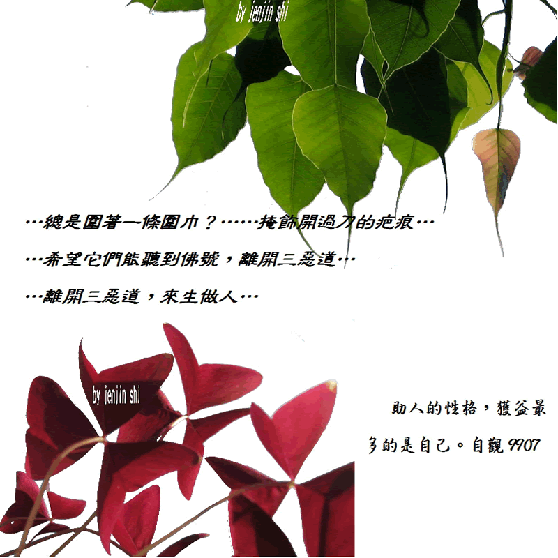 抖動的文字 師父的勉勵