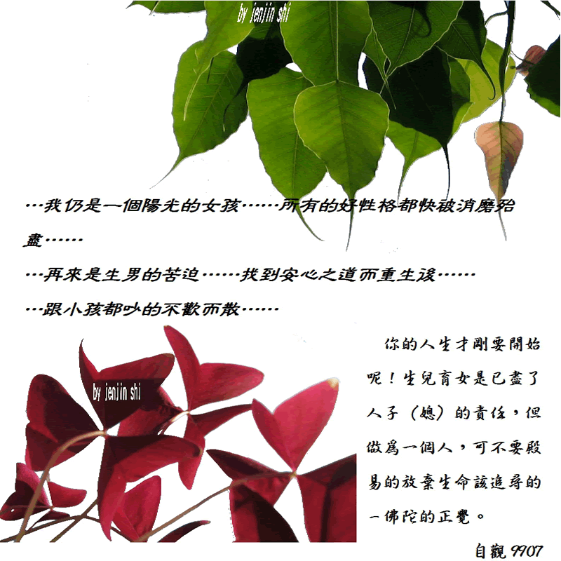 抖動的文字 師父的勉勵