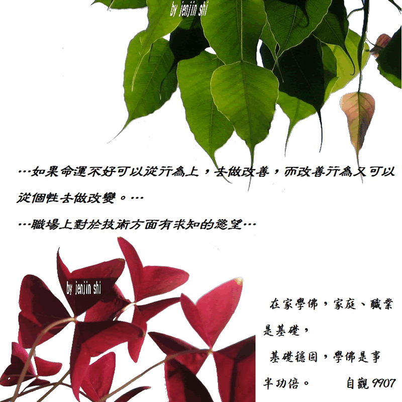 抖動的文字 師父的勉勵